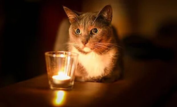 post-30509 thumbnail