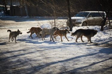 post-32716 thumbnail