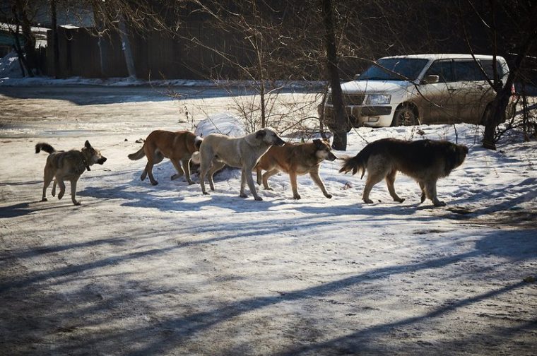 post-25274 thumbnail