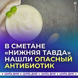 post-22369 thumbnail