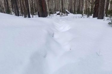 post-22416 thumbnail