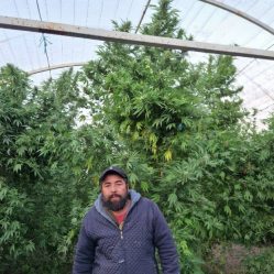 post-23999 thumbnail