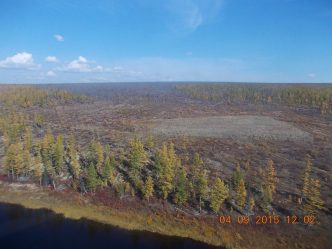 post-25157 thumbnail