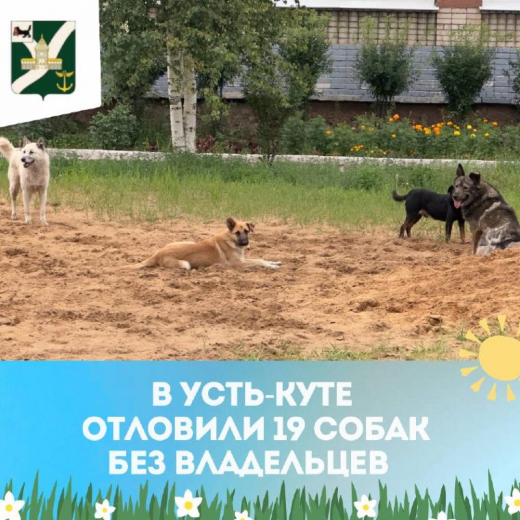 post-28450 thumbnail