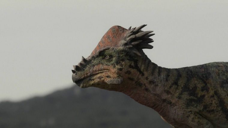 post-30374 thumbnail