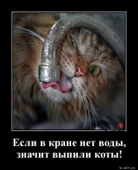 post-31899 thumbnail