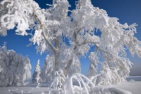 post-35058 thumbnail